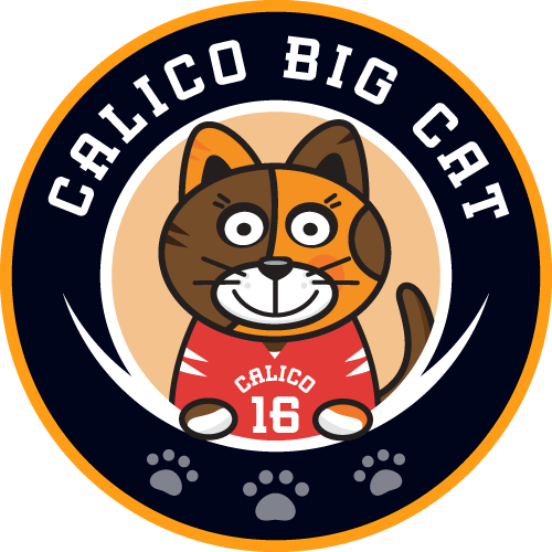 CNI Storties, How Calico+BGP works?